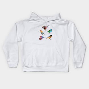 Lovely Birds Low Poly Kids Hoodie